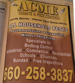 Acme Termite & Pest Control LLC's Flyer